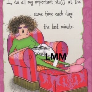 Leslie Moak Murray Magnet "Important Stuff" #31367