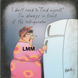 Leslie Moak Murray Magnet "Find myself refrigerator" #26407