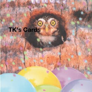 Michael Quackenbush "Owl in Tree" Birthday Card #10919