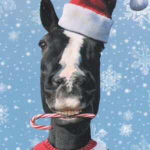 Michael Quackenbush "Horse in Ugly Sweater" Christmas Card #21991