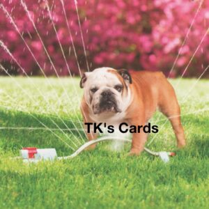 Michael Quackenbush "Bulldog In Sprinkler" Birthday Card #10925
