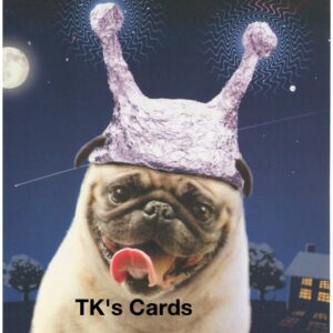 Michael Quackenbush "Pug In Foil Hat" Belated Birthday Card #10934
