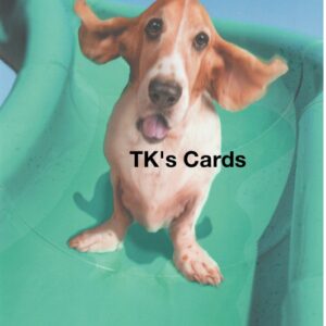 Michael Quackenbush "Waterslide Dog" Birthday Card #11955