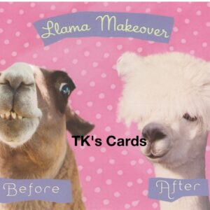 Michael Quackenbush "Llama Makeover" Birthday Card #13981