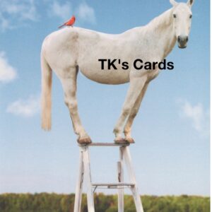 Michael Quackenbush "Horse on Ladder" Birthday Card #13983