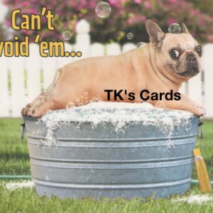 Michael Quackenbush "Dog Bath & Bubbles" Birthday Card #14684