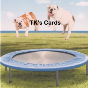 Michael Quackenbush "Bouncing Bulldogs" Friendship Card #10935