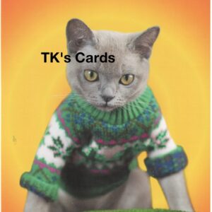 Michael Quackenbush "Mean Cat in Sweater" Friendship Card #10939