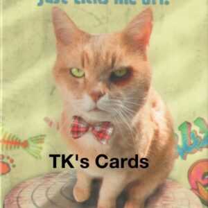 Michael Quackenbush Magnet "Tabby Cat on Trash Can" #31406