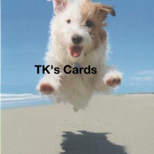 Michael Quackenbush "Puppy Dog Jumping" Thank You Notecard #35947