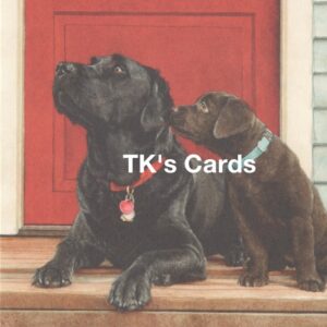 Sueellen Ross "My Hero" Father's Day Card #10241