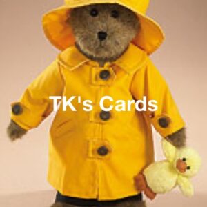 Boyds "Stormin Norman & Puddleduck" Bear of the Month Bear #919863