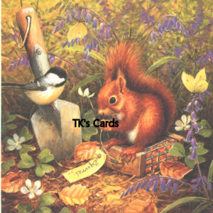 Barbara Mitchell "Red Squirrel" Birthday Select Card #36126