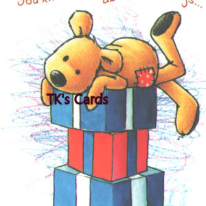 Rory Tyger "Teddy Bear & Presents" Birthday Notions Card #95182