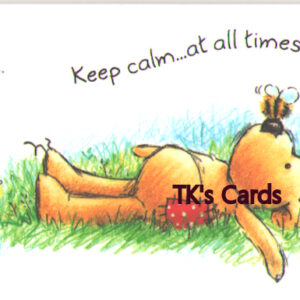 Rory Tyger "Teddy Bear Calm" Magnet #25809