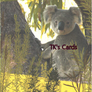 Masterfile "Koala in a Tree" Friendship Card #18226