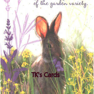 Harry Bowden "Bunny Rabbit" Friendship Card #18229