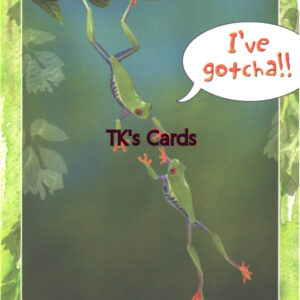 Age Fotostock "Red-Eyed Tree Frogs" Friendship Card #18230