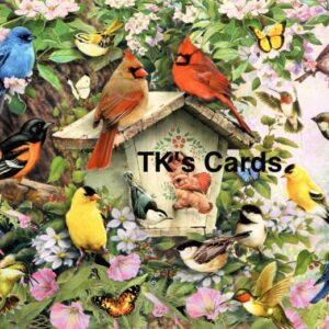 Greg Giordano "Birdhouse with Company" Birthday Card #10858