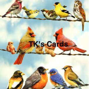Greg Giordano "Birds on Wire" Birthday Card #11729
