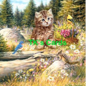 Greg Giordano "Kitty Outing" Birthday Card #13499