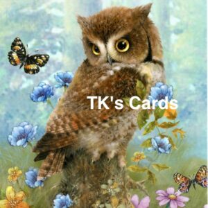 Greg Giordano "Owl & Butterflies" Friendship Card #14641