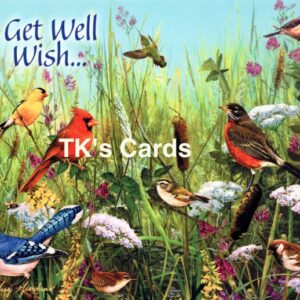Greg Giordano "Garden Birds" Get Well Card #15524