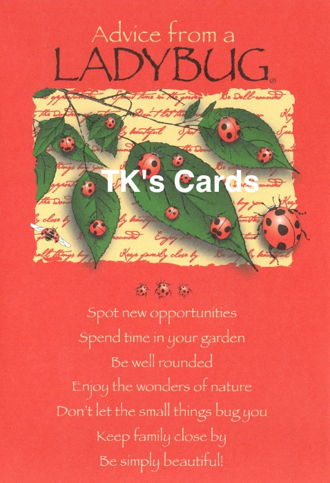 Your True Nature "Advice Ladybug" Birthday Card #60277 - TK's Cards