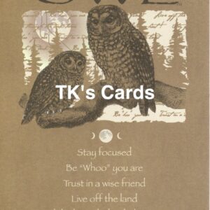 Your True Nature "Advice Owl" Birthday Card #60396