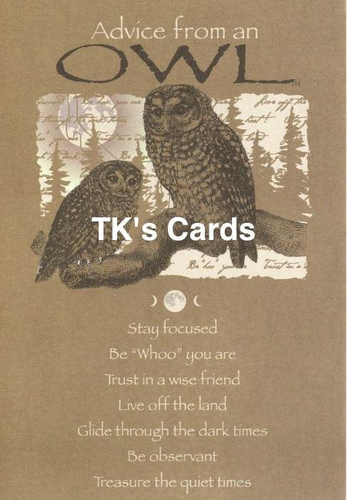 Your True Nature "Advice Owl" Birthday Card #60396 - TK's Cards