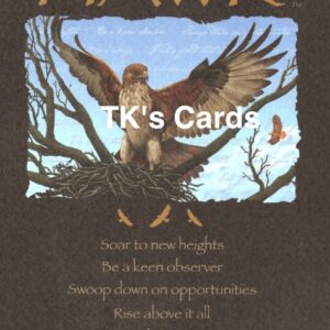 Your True Nature "Advice Hawk" Birthday Card #60402