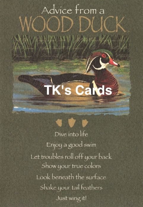Your True Nature "Advice Wood Duck" Birthday Card #60406 - TK's Cards
