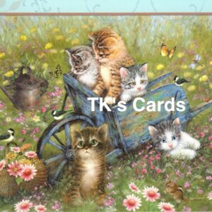 Greg Giordano "Kittens Wheelbarrow" Blank Notecard #35870