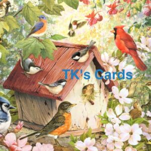 Greg Giordano "Spring Birdhouse" Blank Notecard #35887